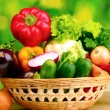 fresh_vegetables_in_basket-2560x1600